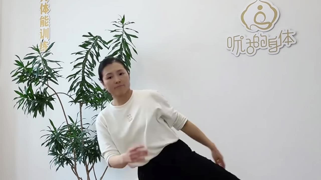 0009.腿法不練 髖胯不靈