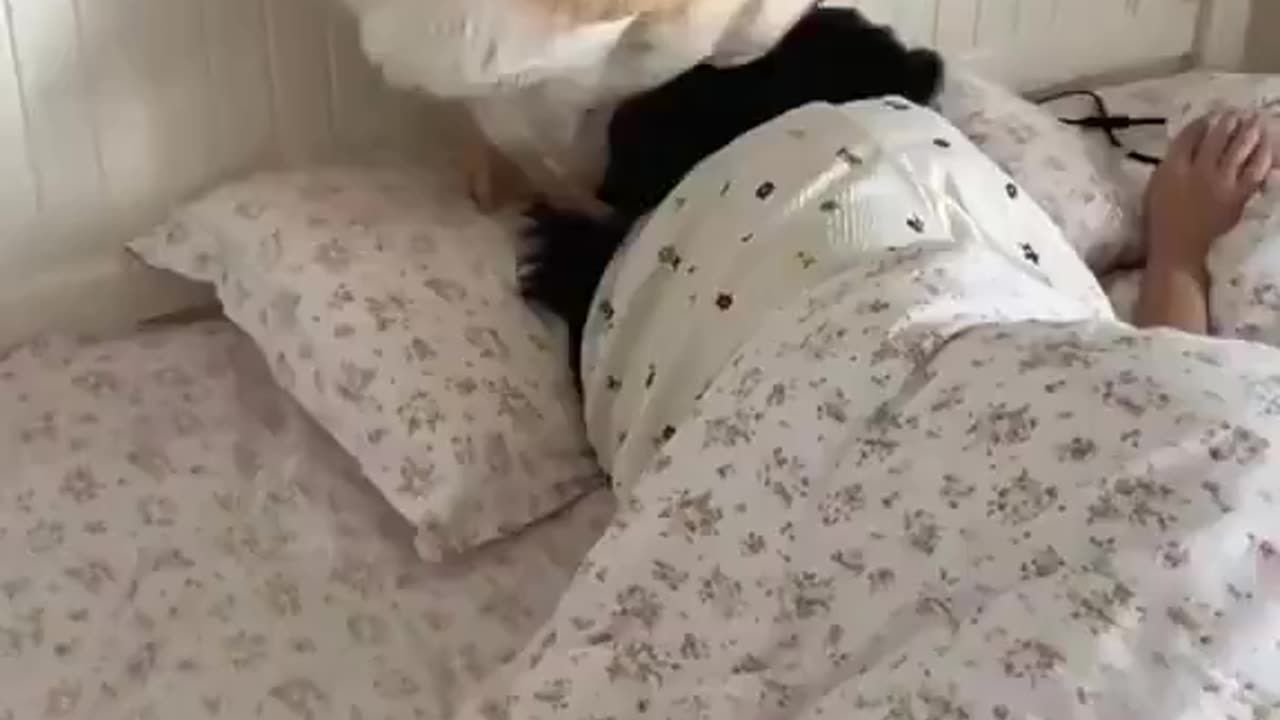 time people in this world awaken