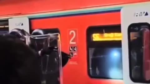 🚝 🇩🇪Sprawdzanie biletów w Niemczech też nie jest tym, czym było kiedyś🤷‍♀️