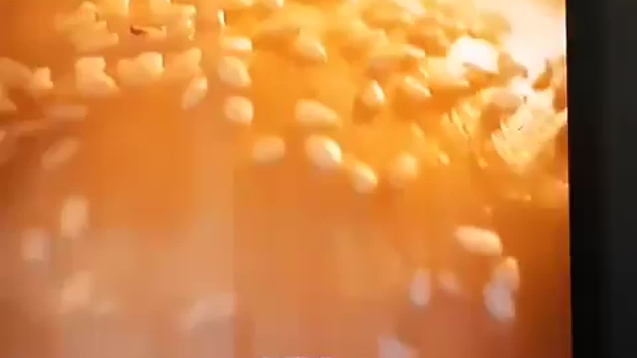 American bread is NOT bread!!!
