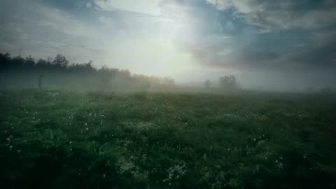 Stand Beyond - Eamonn Karran