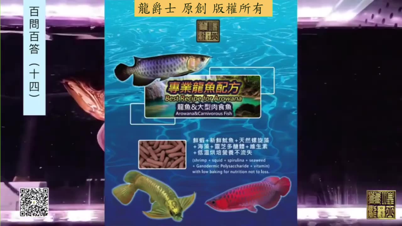 【龍爵士】千問千答 Q141 龍爵士產品其他魚種可使用嗎