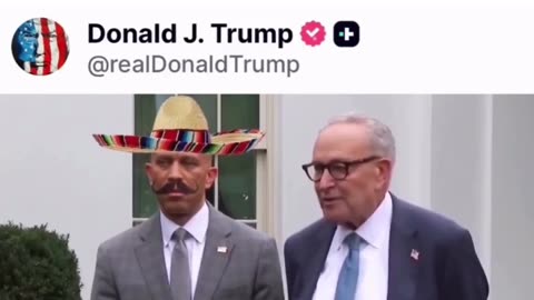 Politics - 2025 Humor Chuck Schumer Tells The Truth Liberals Are Woke DEI Illegal Shit