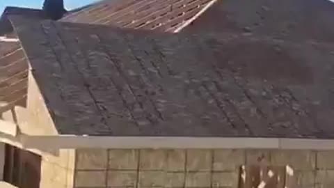 Feds raid a construction site in Minneapolis and round up illegals