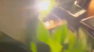 Usual suspect creates panic with a knife while invoking Allah and Italian law enforcement