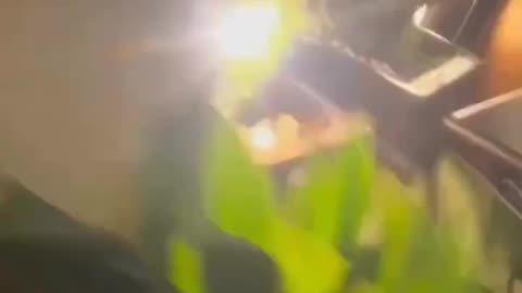 Usual suspect creates panic with a knife while invoking Allah and Italian law enforcement