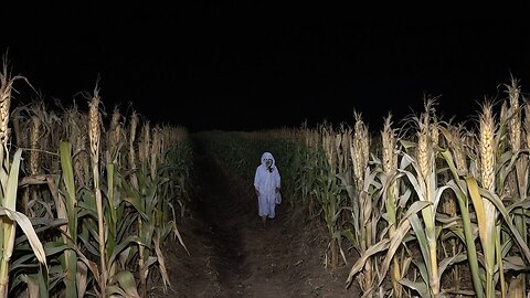 3 Creepy TRUE Cornfield Horror Stories
