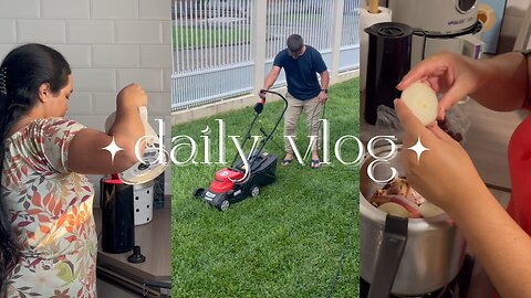 daily vlog |