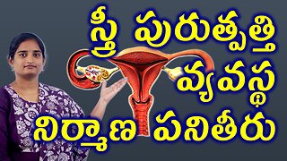 స్త్రీ పురుత్పత్తి వ్యవస్థ నిర్మాణం Female Reproductive System Uterus & Vagina Structure Homeopathy
