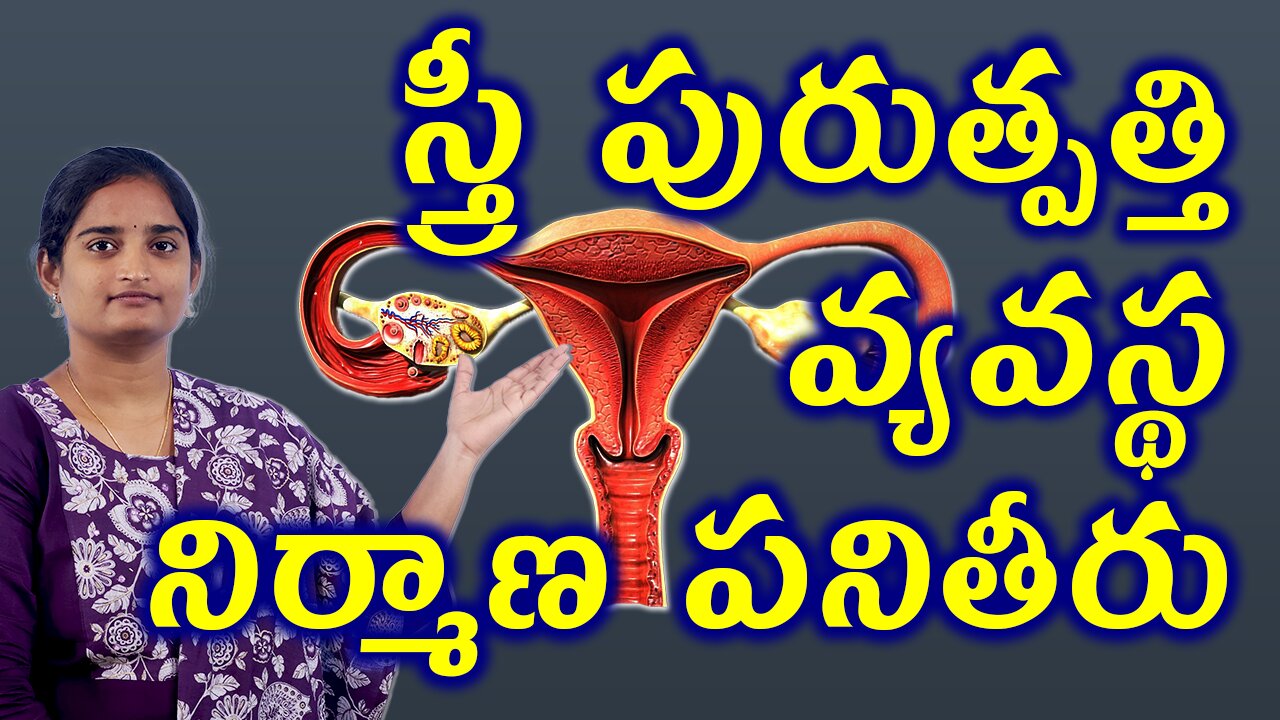 స్త్రీ పురుత్పత్తి వ్యవస్థ నిర్మాణం Female Reproductive System Uterus & Vagina Structure Homeopathy