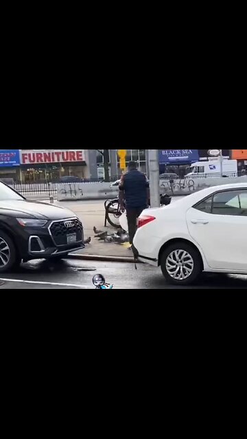 Food Cart Dude In Queens Catches A Live Pigeon And Takes It Back To The Truck