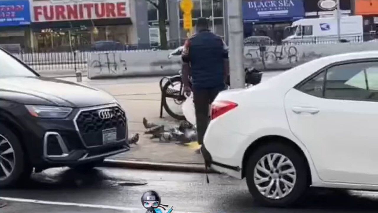 Food Cart Dude In Queens Catches A Live Pigeon And Takes It Back To The Truck