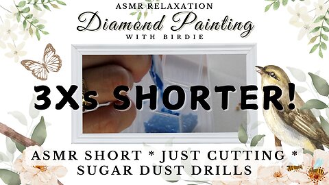 3Xs SHORTER🔹GRATIFING SATISFYING ASMR🔹DIAMOND PAINTING ART 🔹Kit-Up Cutting Bags Sugar Dust Drills