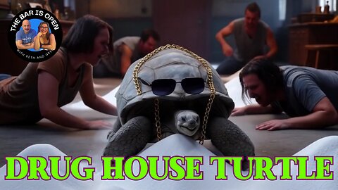 Drug House Turtle - TBIO 544