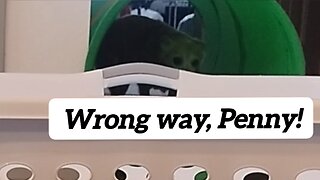 SNOW DAY WORKOUT 💪