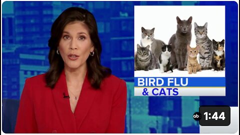 The Bird Flu PsyOp Continues