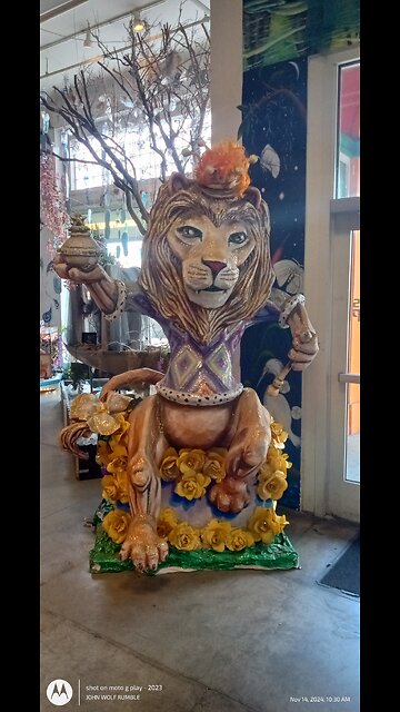 Stray cat engaging in strange ritual