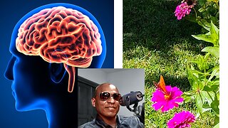 Transforming Your Mind Will Stop You From Conforming To The World