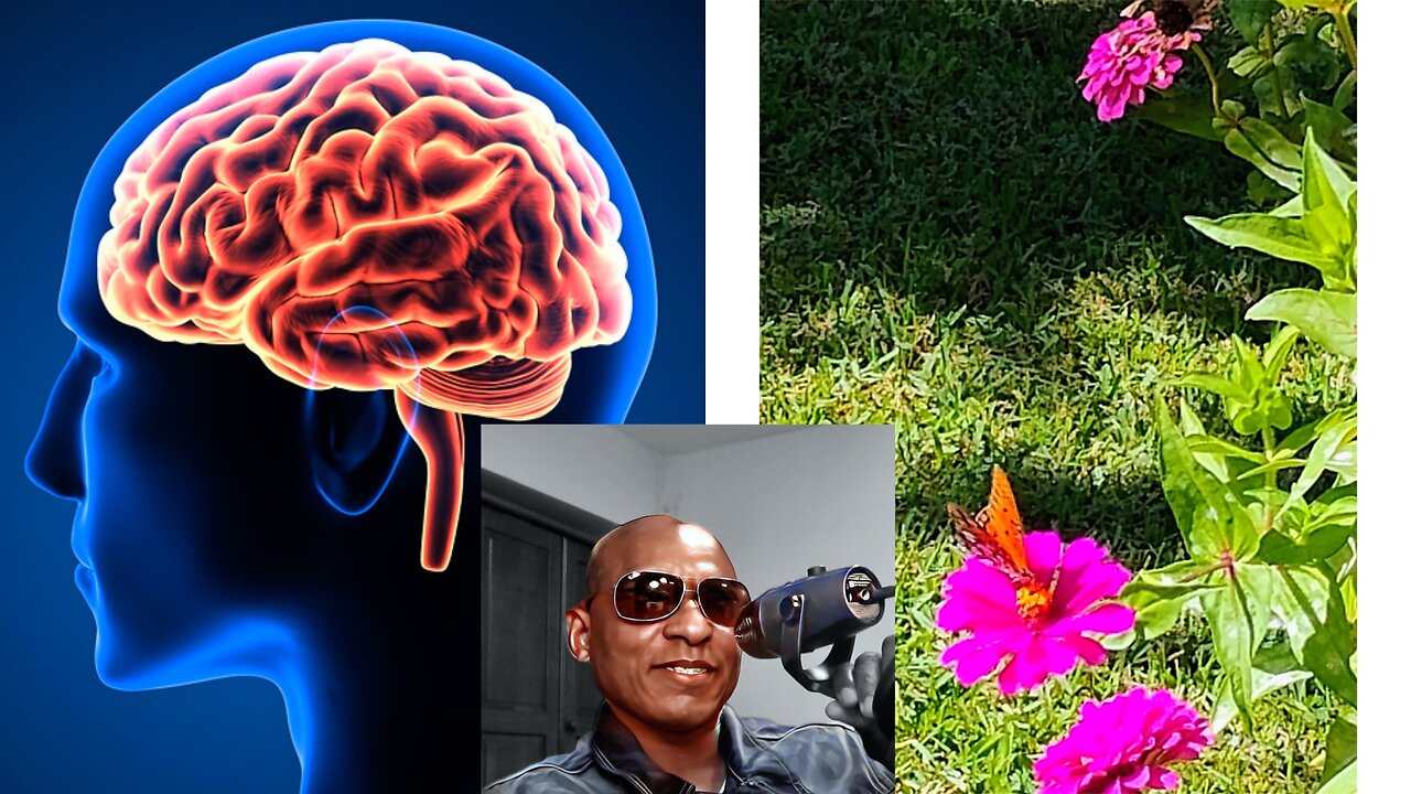 Transforming Your Mind Will Stop You From Conforming To The World