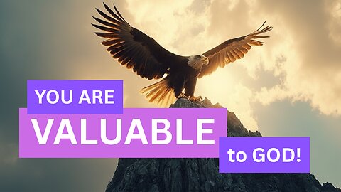 Birds of the Air (your precious to God)