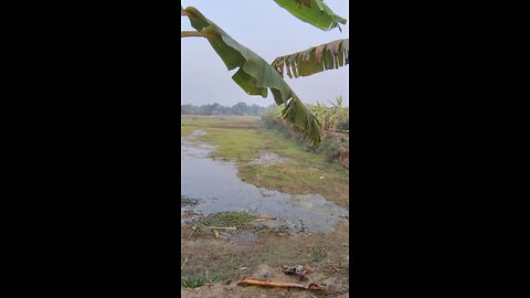 হেনা পোঁদ মেরে লিতে গেছে 😁।