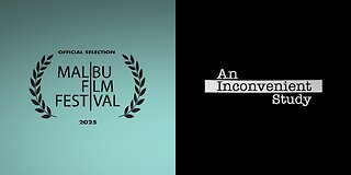 🎬 Egy Kényelmetlen Tanulmány (An Inconvinient Study) – Full HD, Magyar Felirattal