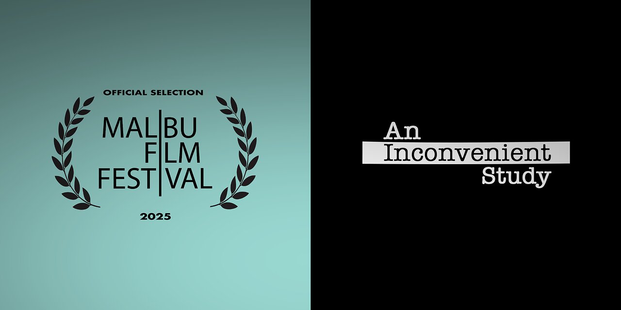 🎬 Egy Kényelmetlen Tanulmány (An Inconvinient Study) – Full HD, Magyar Felirattal