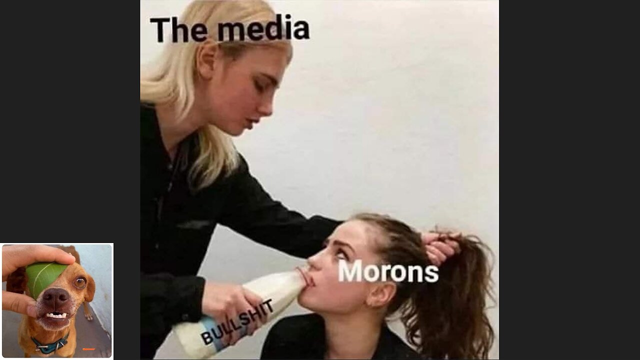 Memes That Will 99.0478% Make You Laugh. (e702)