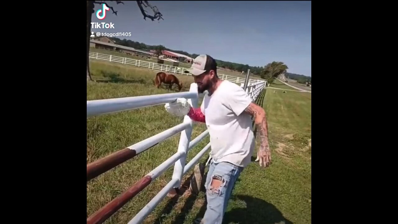 The New Way to Paint Fences… Genius or Dumb? 😂🎨