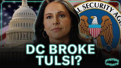 DC Broke Tulsi? | Glenn Greenwald