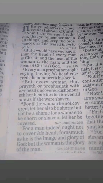 1 Corinthians 11:1-7