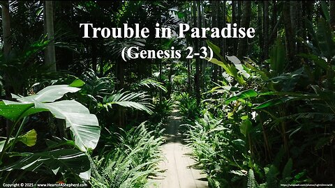 Trouble in Paradise (Genesis 2-3) - A daily Bible study from www.HeartofAShepherd.com