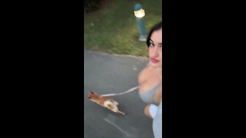 Nia bleu is a shiba mom