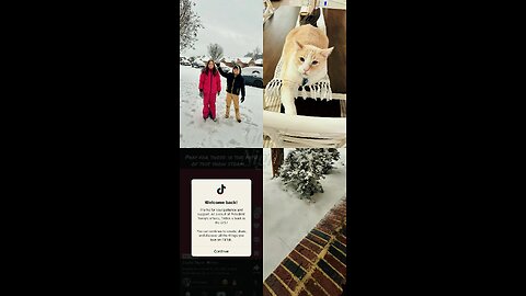 2025 Recap 📸 Happy New Year 🎉