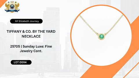 TIFFANY & CO. BY THE YARD NECKLACE