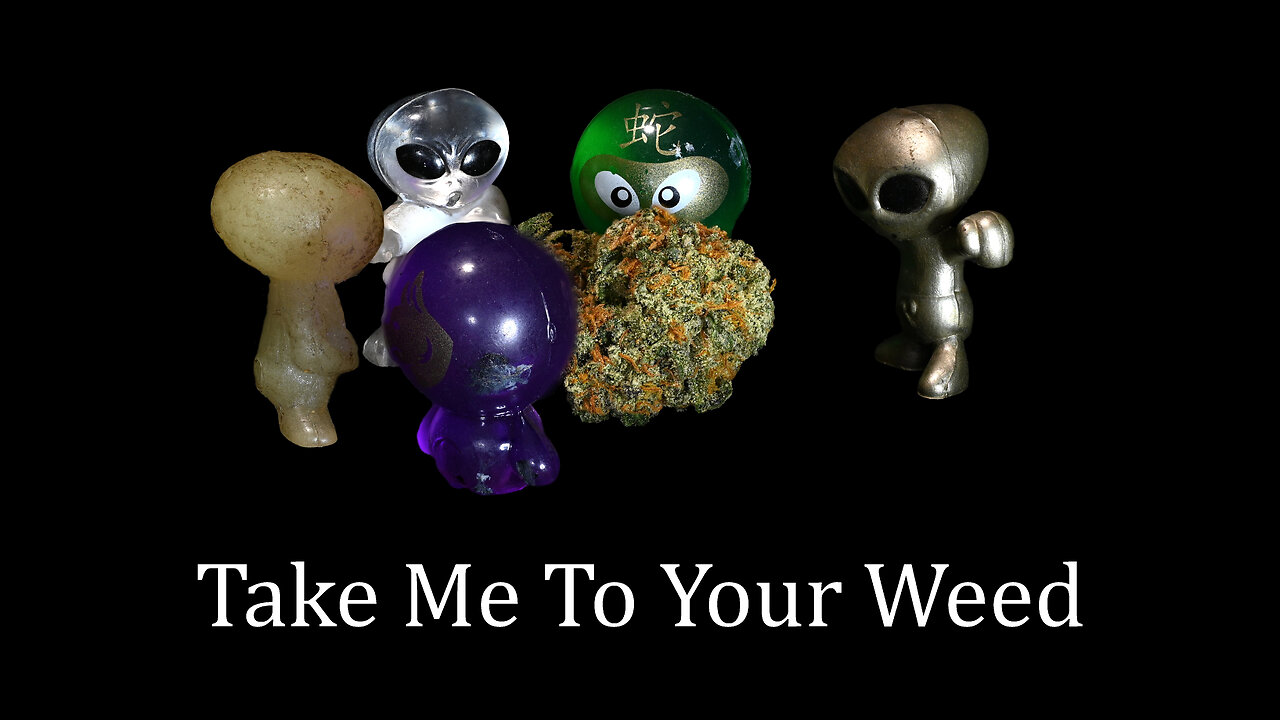 inTERPretations: Dab Oddity (Breath Control to Major Bong) 1:20 long dab with a parody song)
