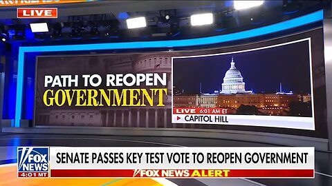 Schumer faces FURY over deal to end shutdown