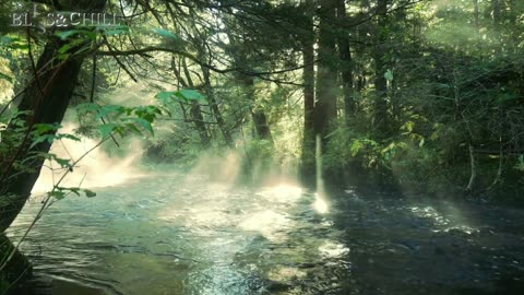 The Ice pop || mp3-relaxing,chill&waasmusic