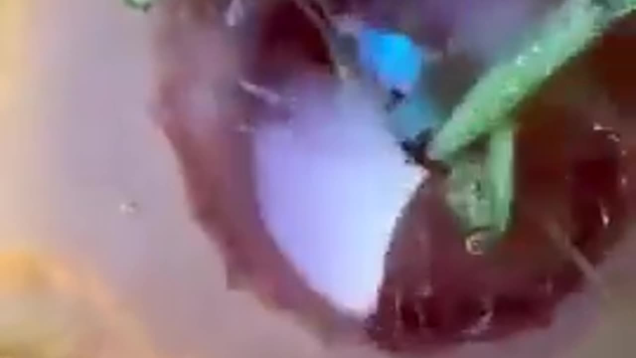 Snail Eating