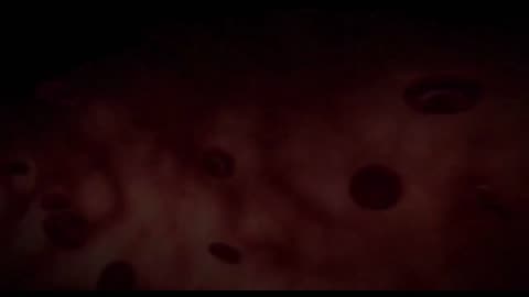 Thời Đại Hoàng Kim - Phần 1 (phụ đề)