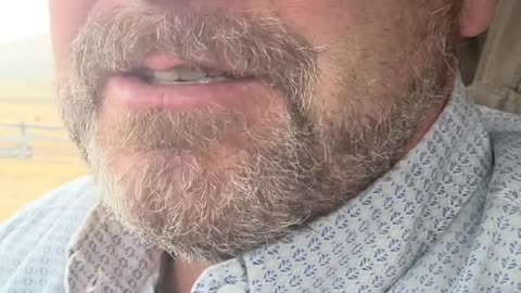 How The Beef Packers – JBS, Cargill, Tyson Foods, & National Beef Control the Entire Market