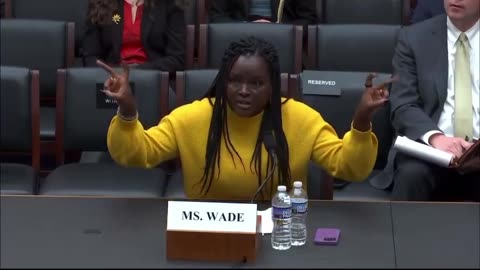 Black Entrepreneur Demolishes Jamie Raskin During Congressional Testimony