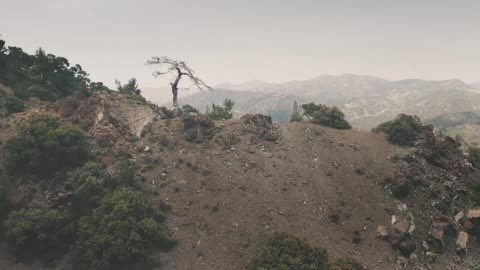 人類史の分岐点：ネアンデルタール人はこう生まれた