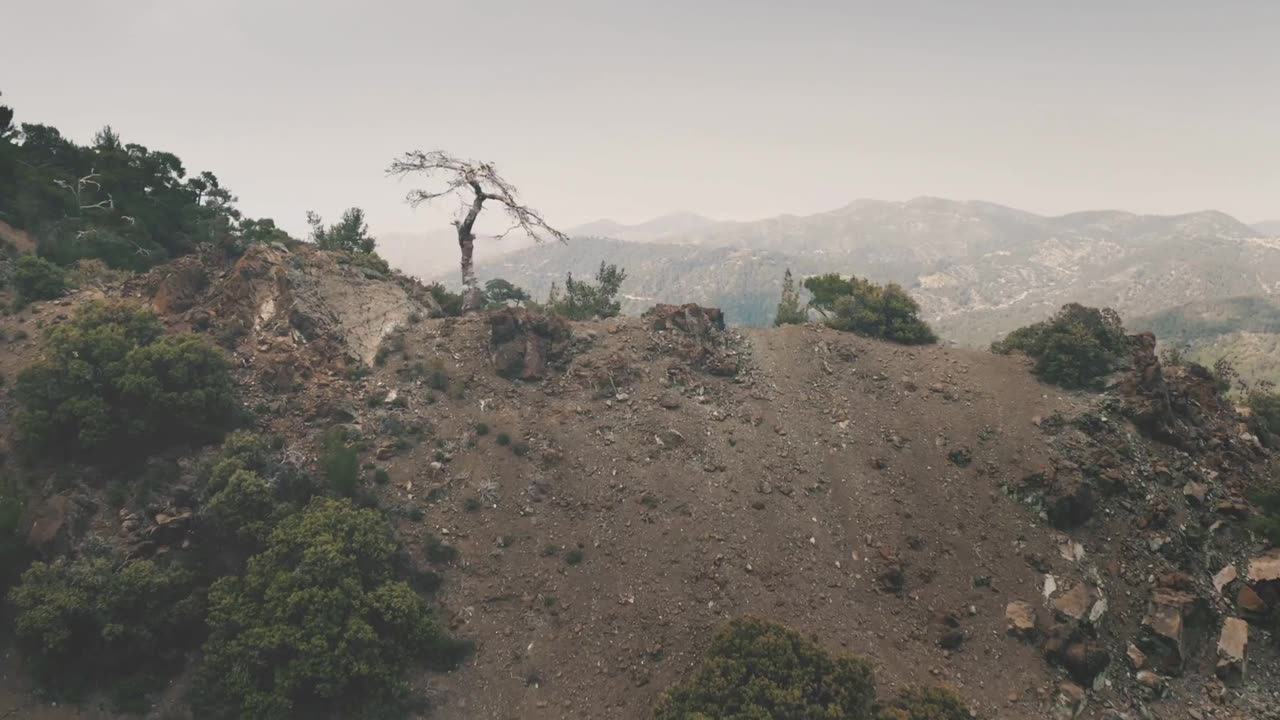 人類史の分岐点：ネアンデルタール人はこう生まれた