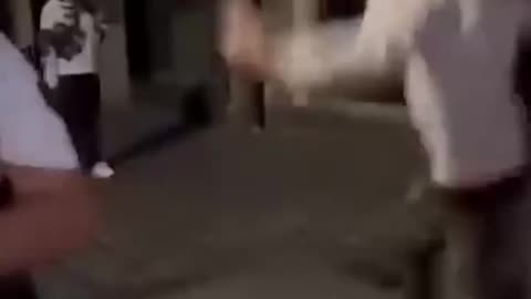 Foreigners stab French child