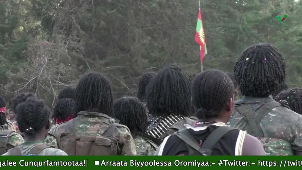 Gabaasa Tarkaanfii ONM-ABO Onkoloolessa 8-2025 itti dhiyaadhaa!