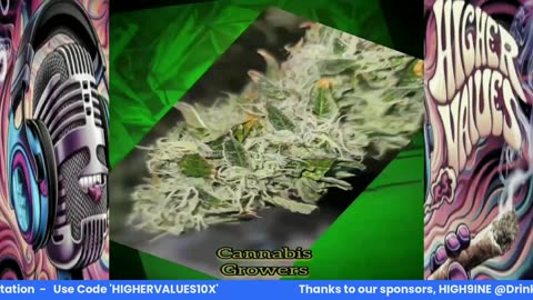 Higher Values- Crypto Degens Launch a New Token?