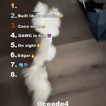 Best Medazelli🤣#ranking #medazelli #tiktok