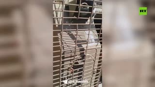 🇷🇺🪖 Ukraine Russia War | Captured Ukrainian M113 APC in Donetsk People's Republic | RCF