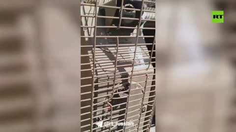 🇷🇺🪖 Ukraine Russia War | Captured Ukrainian M113 APC in Donetsk People's Republic | RCF